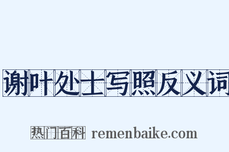 谢叶处士写照反义词是什么意思的图片